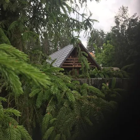 Rajskie Slow Life Nad Jeziorem Pluski