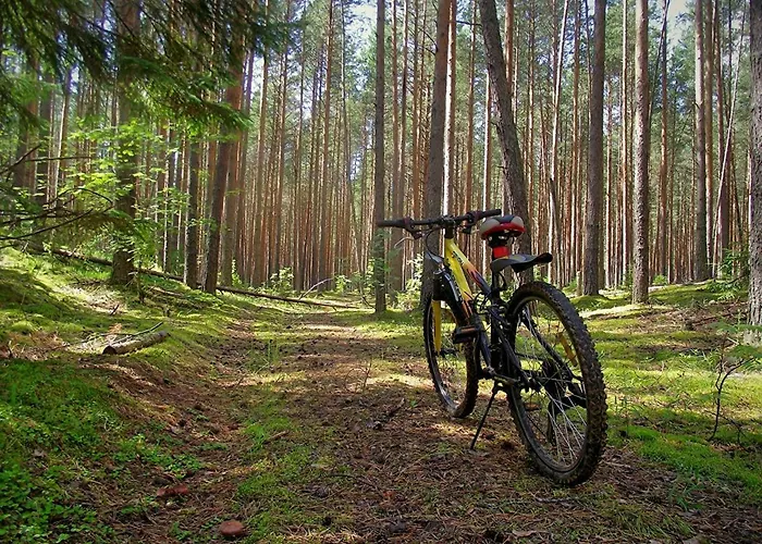 Hébergement de vacances Rajskie Slow Life Nad Jeziorem Pluski